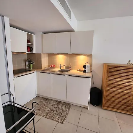 Carre D Or 公寓 尼斯